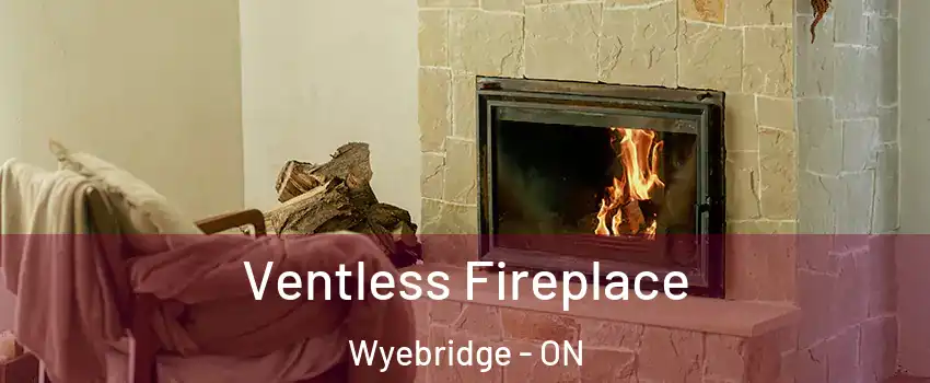  Ventless Fireplace Wyebridge - ON