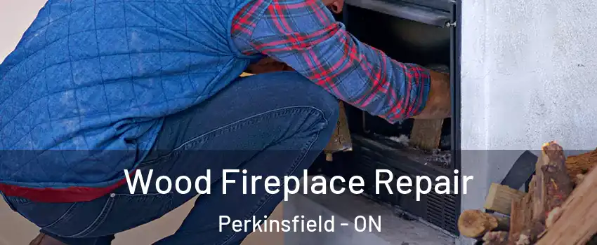  Wood Fireplace Repair Perkinsfield - ON