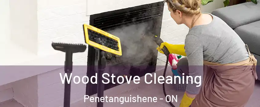  Wood Stove Cleaning Penetanguishene - ON