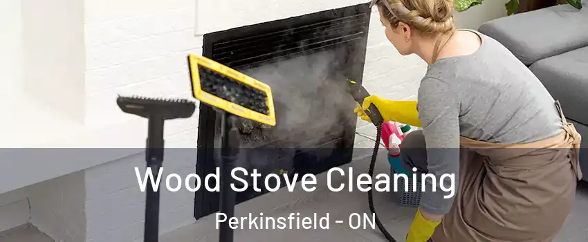  Wood Stove Cleaning Perkinsfield - ON
